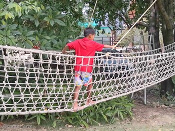 tantai eco farm stay at khao yai