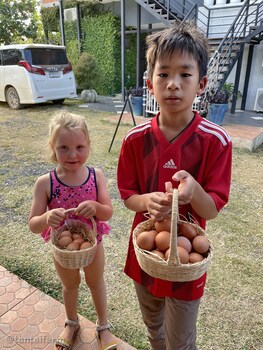 tantai eco farm stay at khao yai