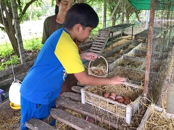 tantai eco farm stay at khao yai