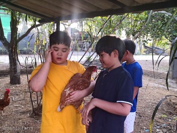 tantai eco farm stay at khao yai