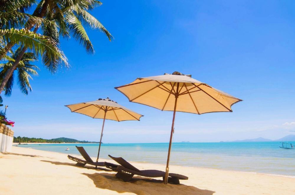 my living place samui