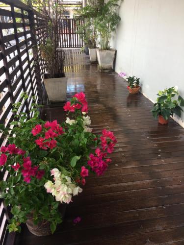 my living place samui