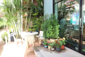 Living Chilled Koh Tao - Hostel,Koh Tao>>Ko Tao,2 star