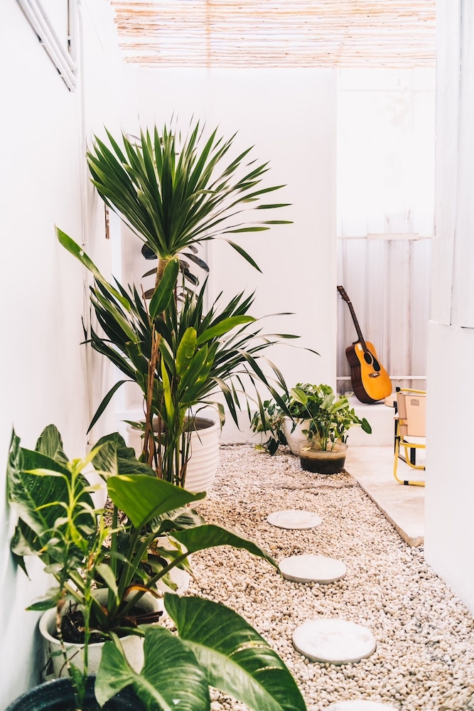 the park society hostel