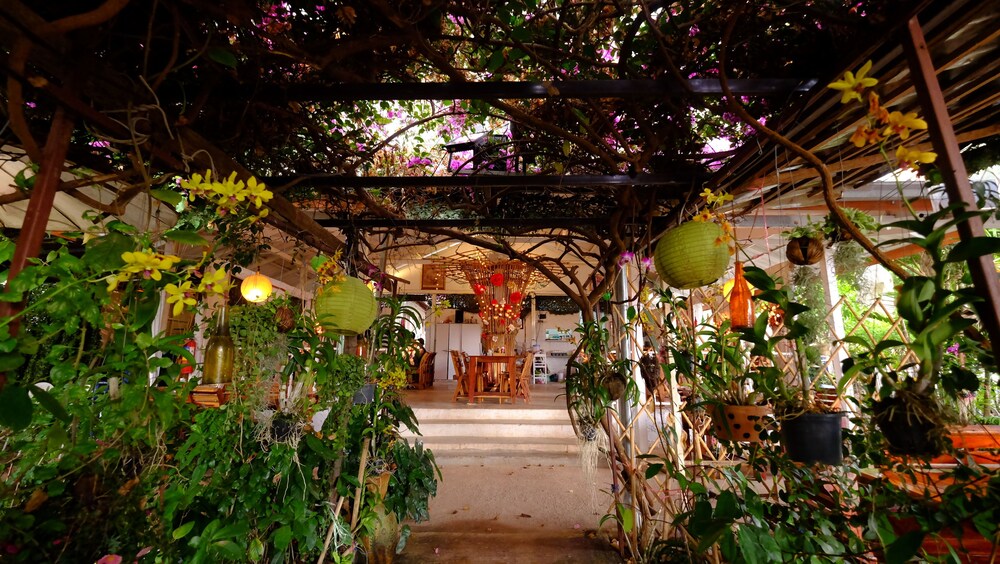 pattys secret garden