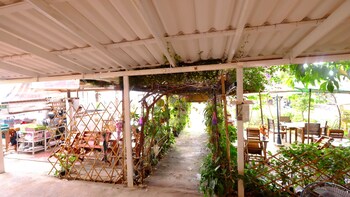 pattys secret garden