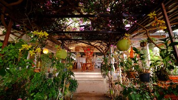 pattys secret garden