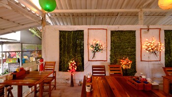 pattys secret garden