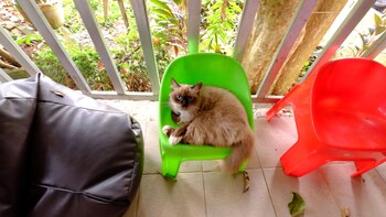 Patty's Secret Garden,Saladan>>Ko Lanta,3 star