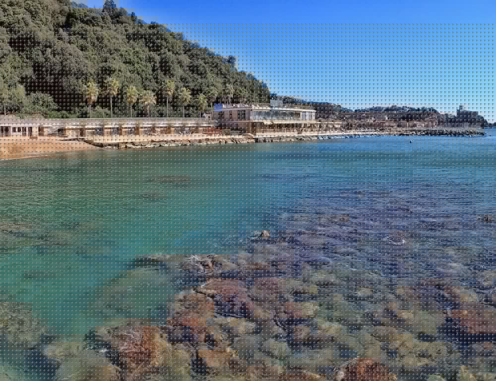 lerici