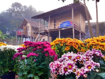 chiang dao