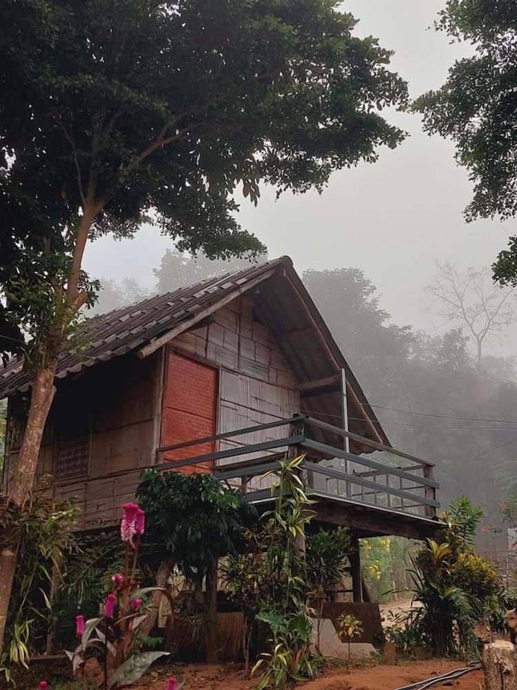 chiang dao