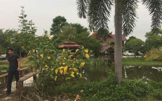 baan suan view dee homestay