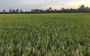 baan suan view dee homestay