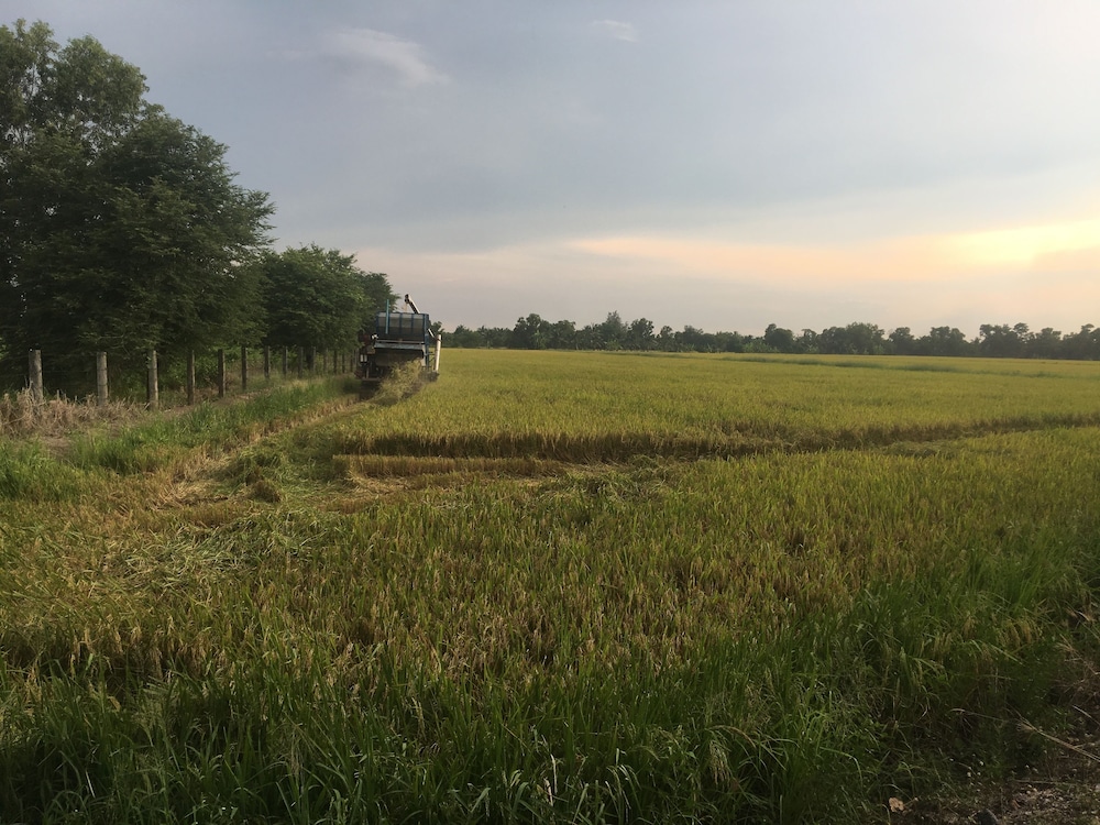 baan suan view dee homestay