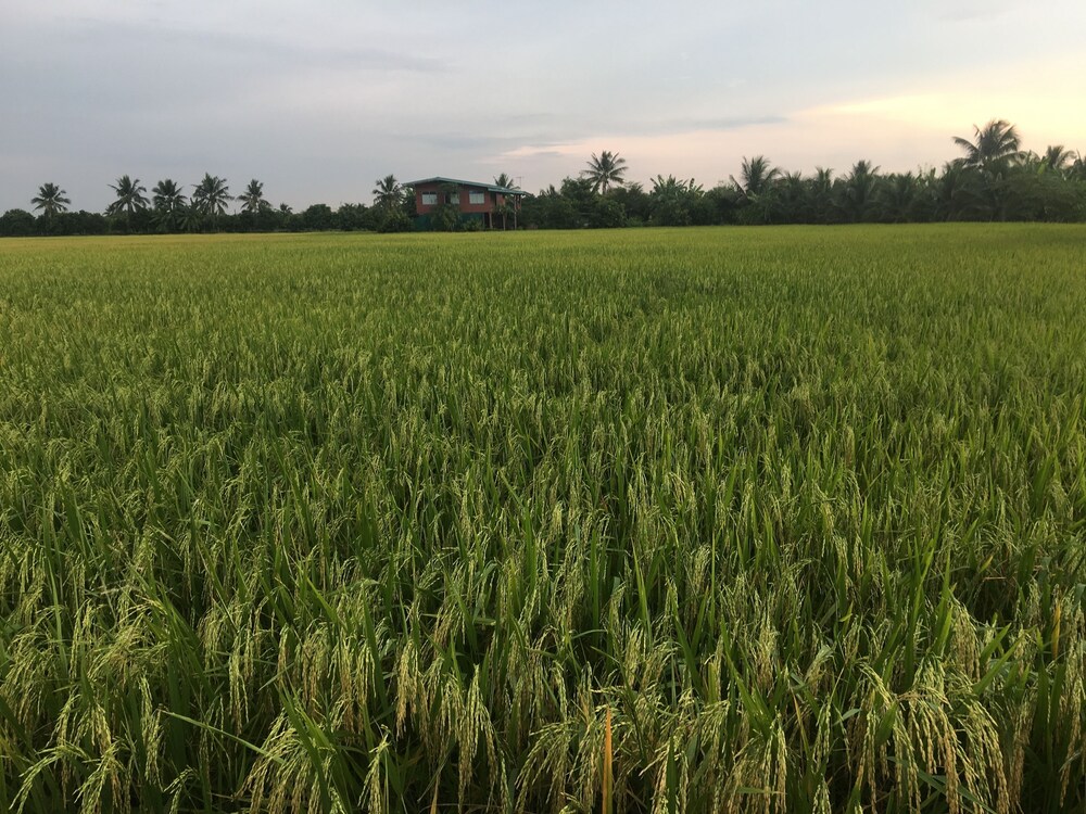 baan suan view dee homestay