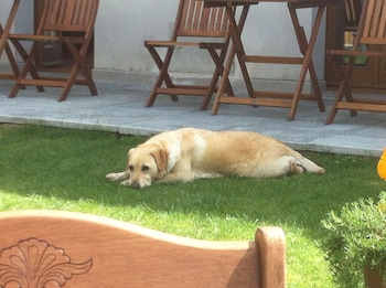 santo stefano di magra