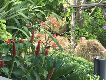 villa bella koh samui