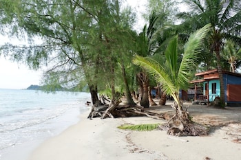 tiger hut
