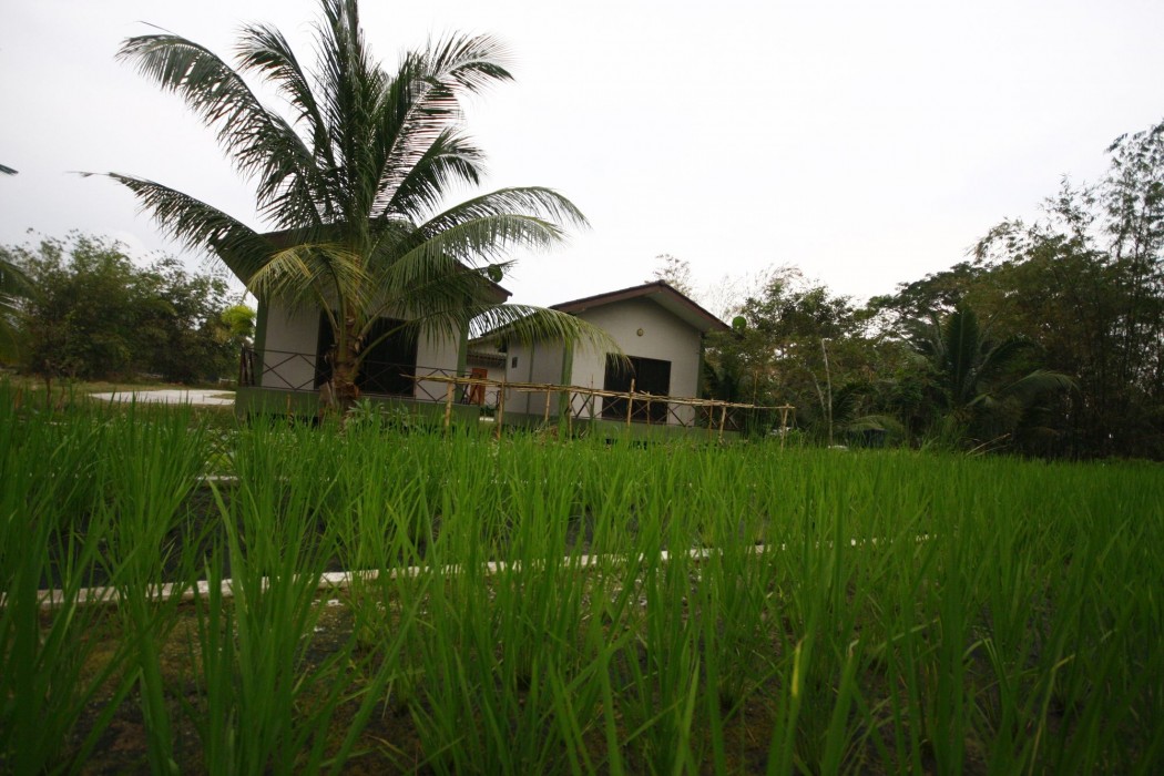 long lake resort