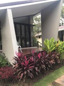 arantarakiri resort khaoyai