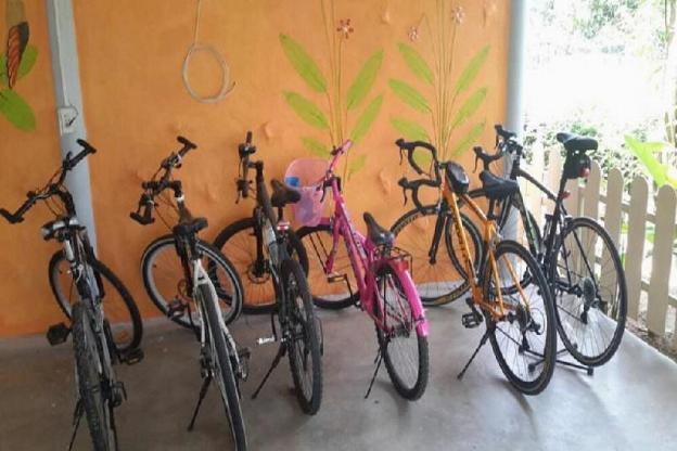 sports bar and resort