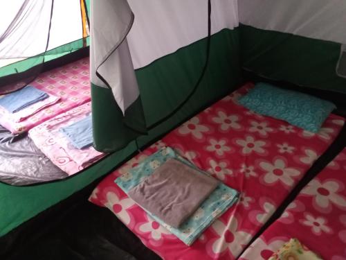 sports bar and resort