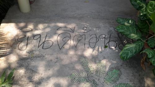 sports bar and resort