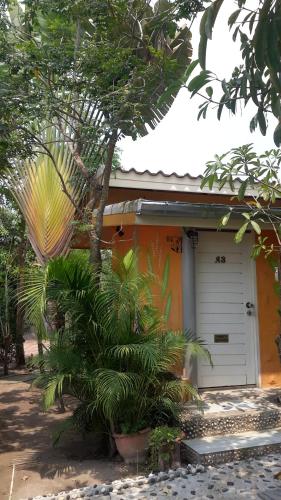 sports bar and resort