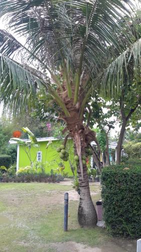 sports bar and resort