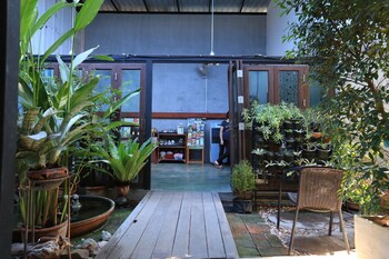 the white elephant home