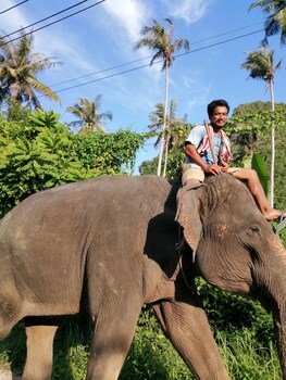 krabi