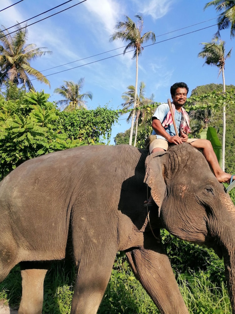 krabi
