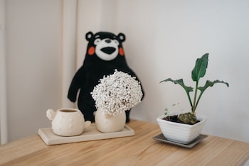 Ease Hostel,Chatuchak>>Bangkok,2 star