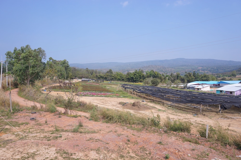 phu ruea