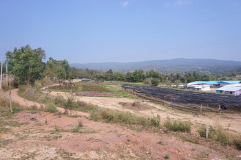 phu ruea