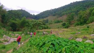 hill tribe art house