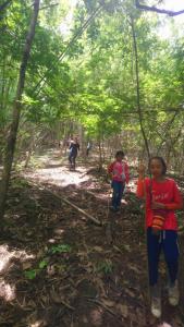 hill tribe art house