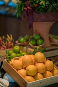 new square patong hotel