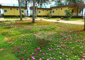 hadthong resort
