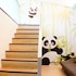 dongshan