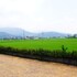 dongshan