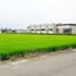 dongshan