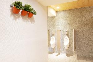 ease single inn hostel