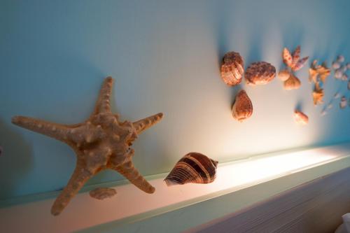 dream come true bandb