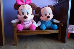 dream come true bandb