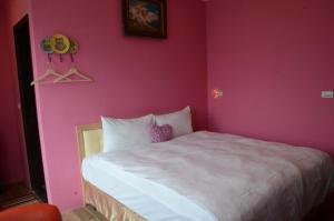 dream come true bandb