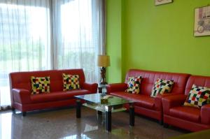 dream come true bandb