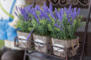 muxia siji sea view guesthouse