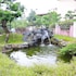 the deer resort